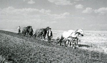    . 4-  '.  ,  ., 1948 .