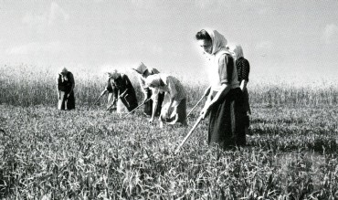  .  ,  ., 1948 .